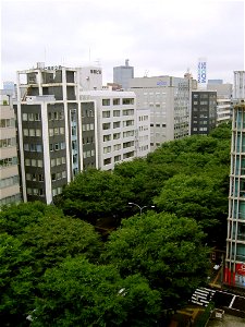 Aoba-dori Avenue with lush street trees of Keaki. This is one of the main streets in Sendai, Japan.