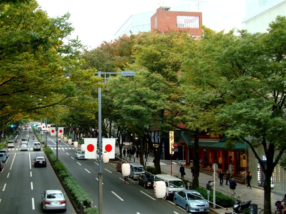 Omote-sando Street in Shibuya Ward, Tokyo