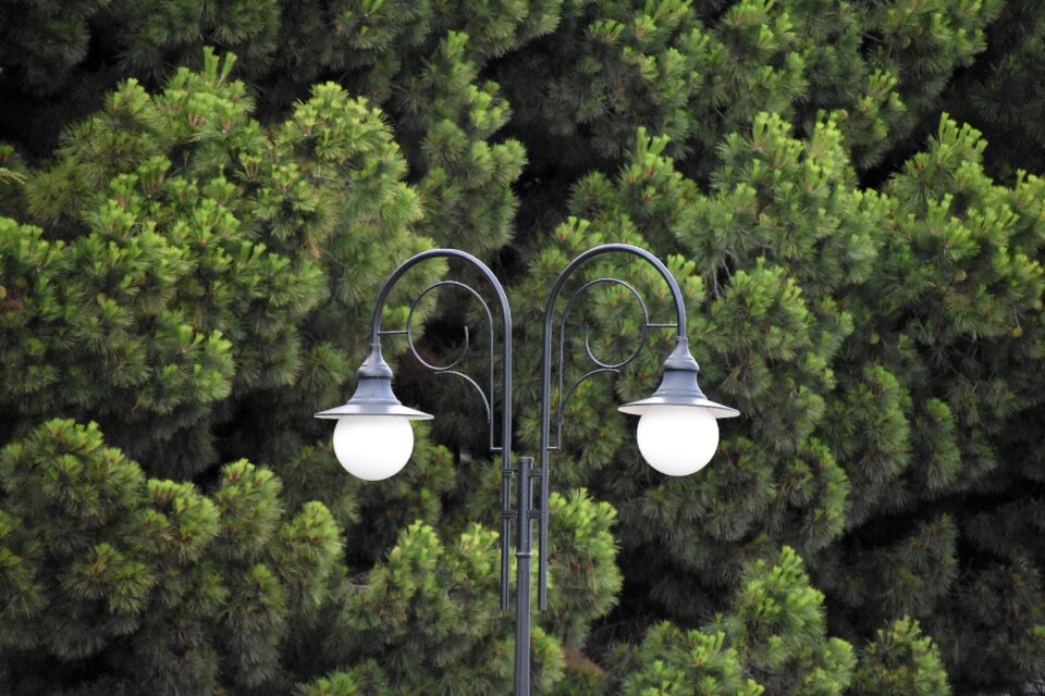 City lamp lighting