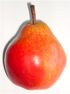 A red pear from Argentina photo