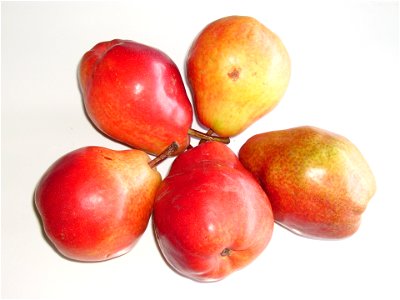 Red pears from Argentina