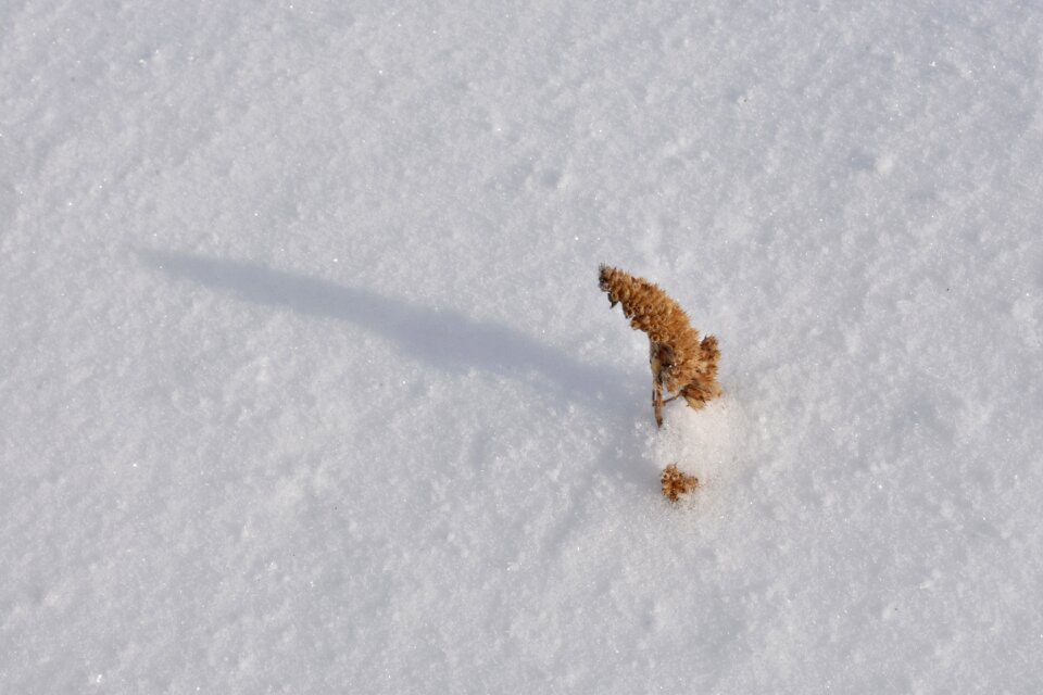 To fall asleep cold nature