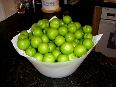 A bowl of wild green plums variously called ganerik, "Can Eric" or Ganarek, from my garden. It is to depict this special fruit grown in Bdadoun, Lebanon. photo