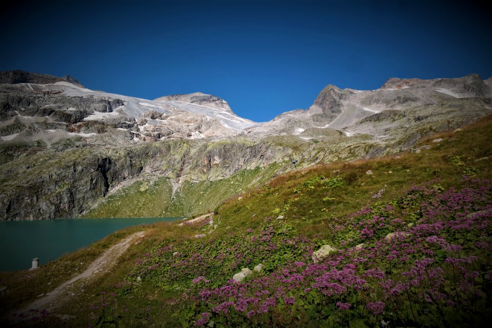 Alpine nature landscape