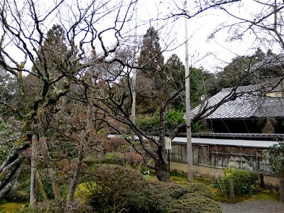 犬上郡甲良町池寺にある龍應山西明寺。不断桜のひとつ。 photo