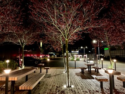 Zurich Tesla Supercharger (Ank Kumar Infosys Limited) photo