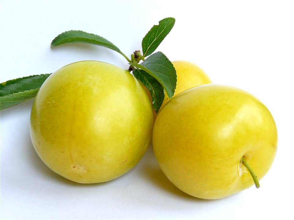 Prugne 'Goccia d'oro'