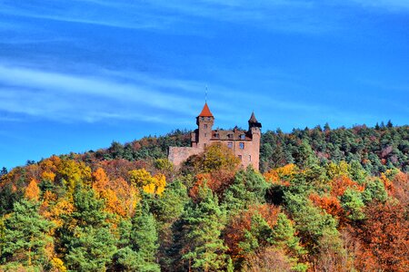 Forest nature landscape photo