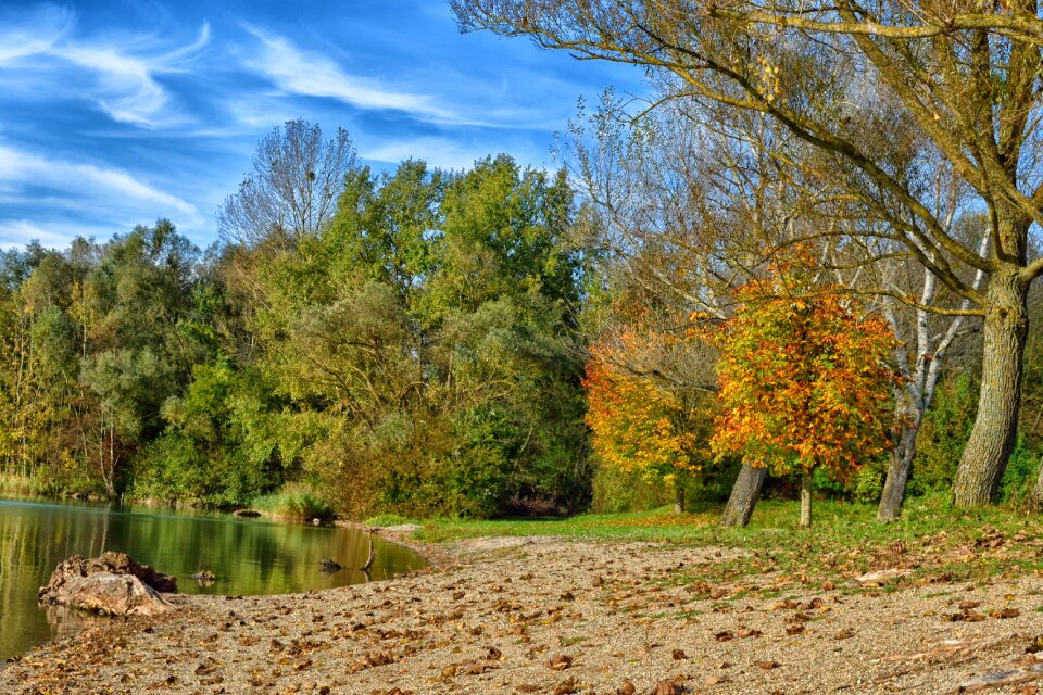 Nature landscape forest
