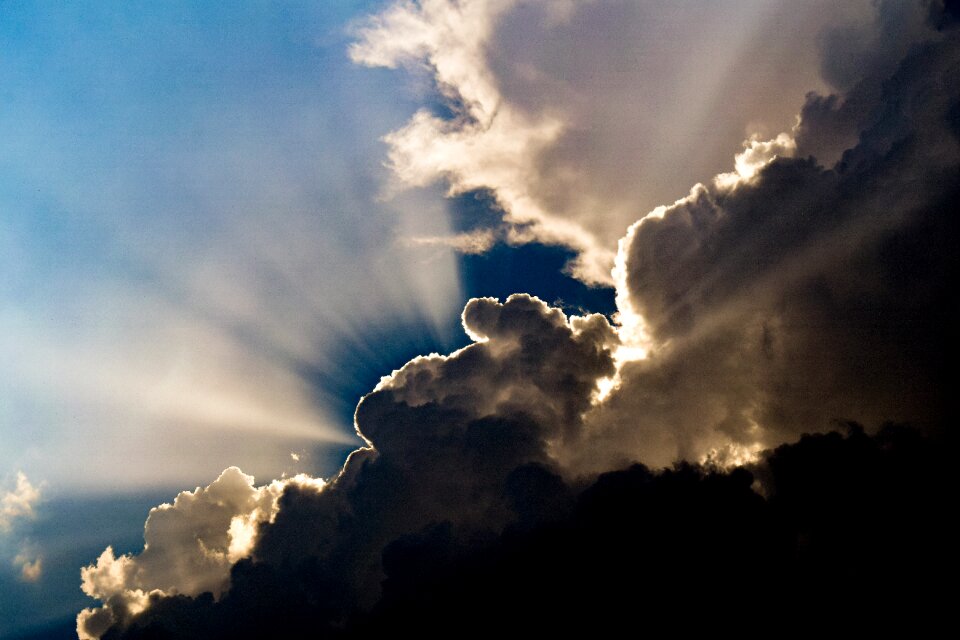 Nature sunlight sunbeam