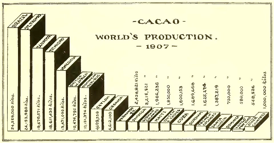 Cacao