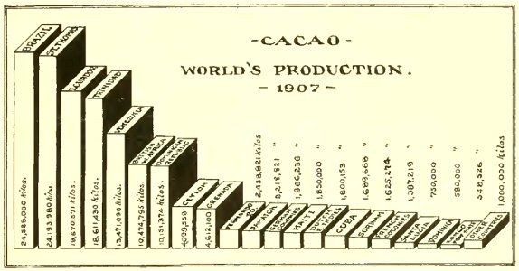 Cacao photo