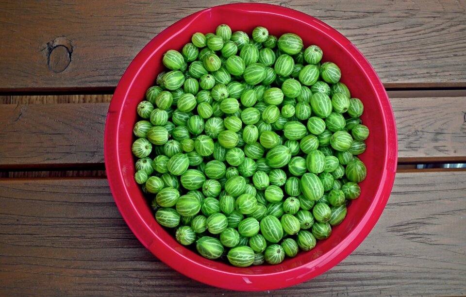 Mature vitamins fresh