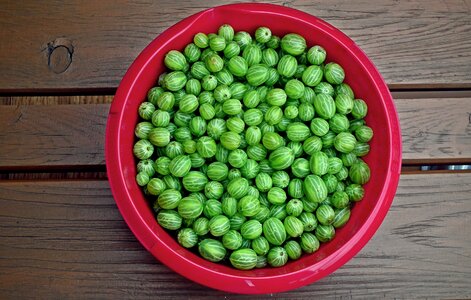 Mature vitamins fresh