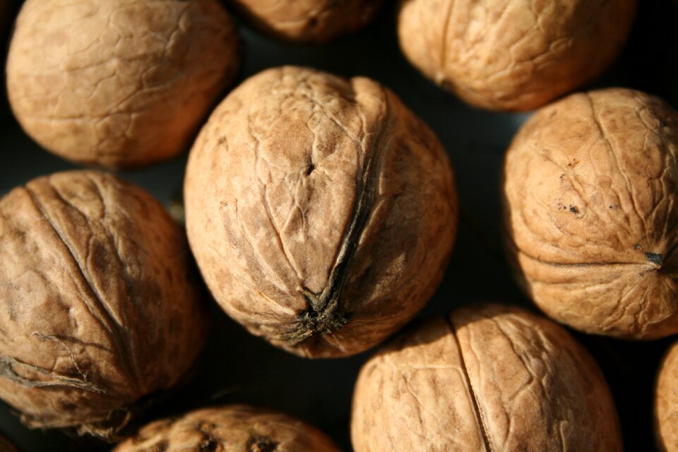 Nuts walnuts shell photo