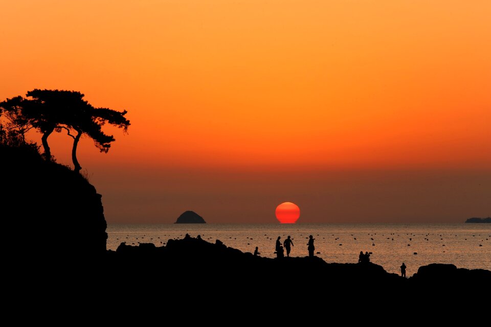 Nature scenery landscape