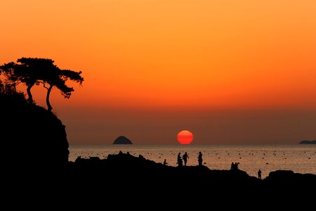 Nature scenery landscape