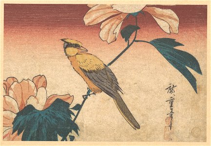 print; Japan