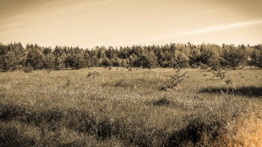 Landscapes outdoor spring