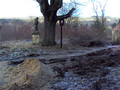 Památná lípa v Konojedech u zámku a kostela