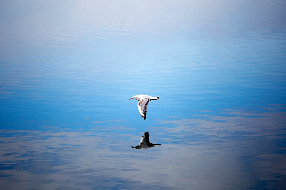 Water lake flight