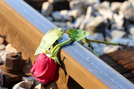 Tragedy tragic traumatic