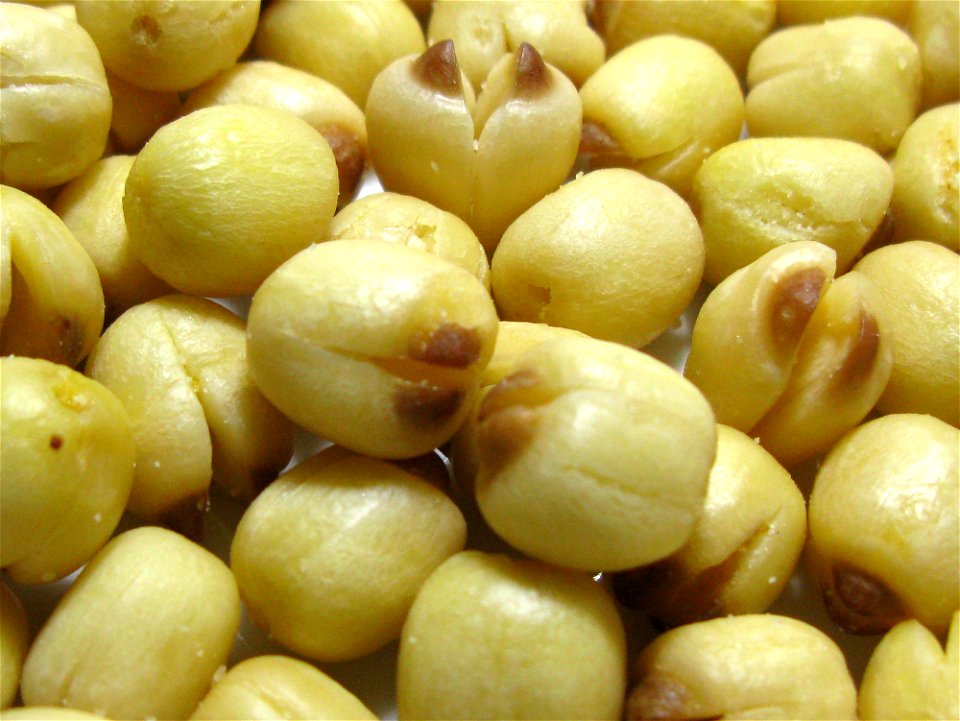 Dried lotus seed snack