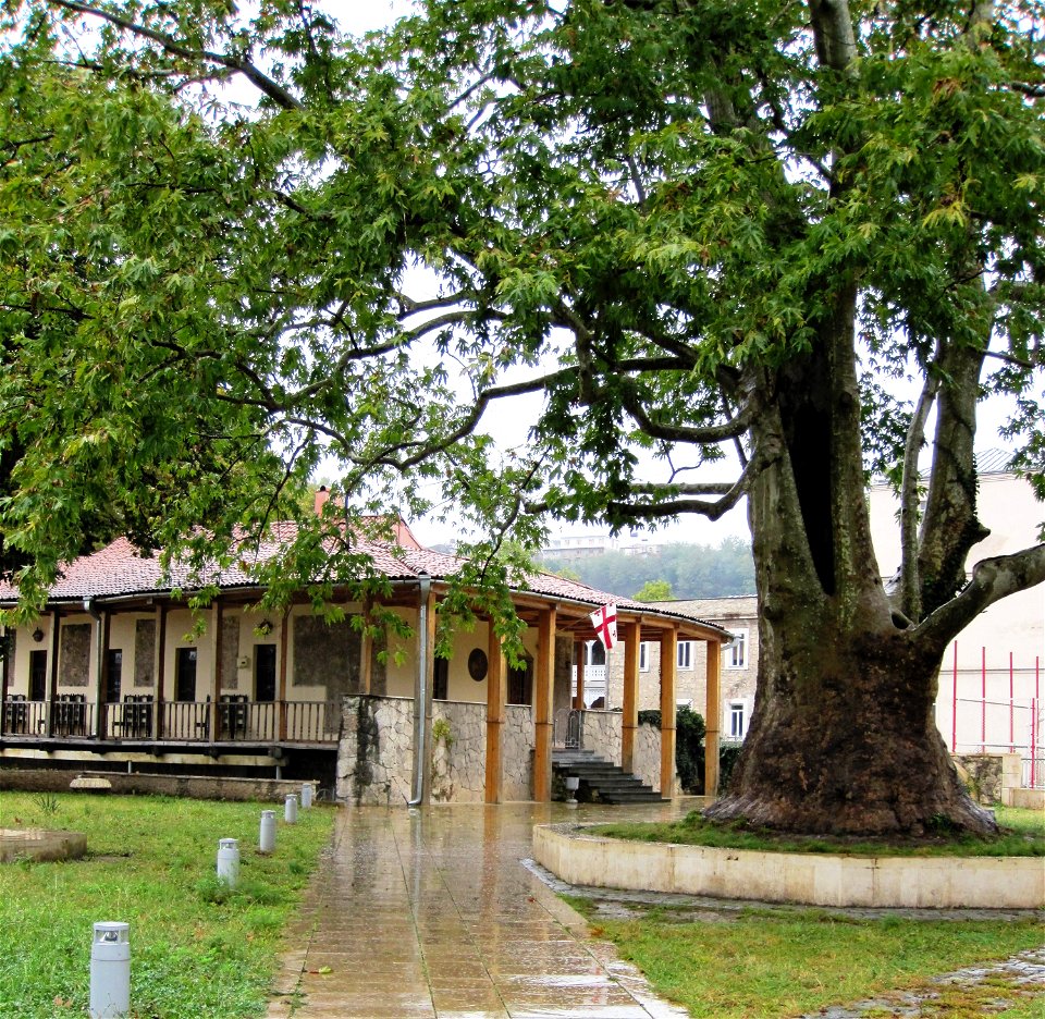 A hundreds-years-old plane tree in front of "Okros Chardakhi" (Golden Marquee), the only surviving structure of the 17th-18th-century palace of the kings of Imereti in Kutaisi, Georgia.