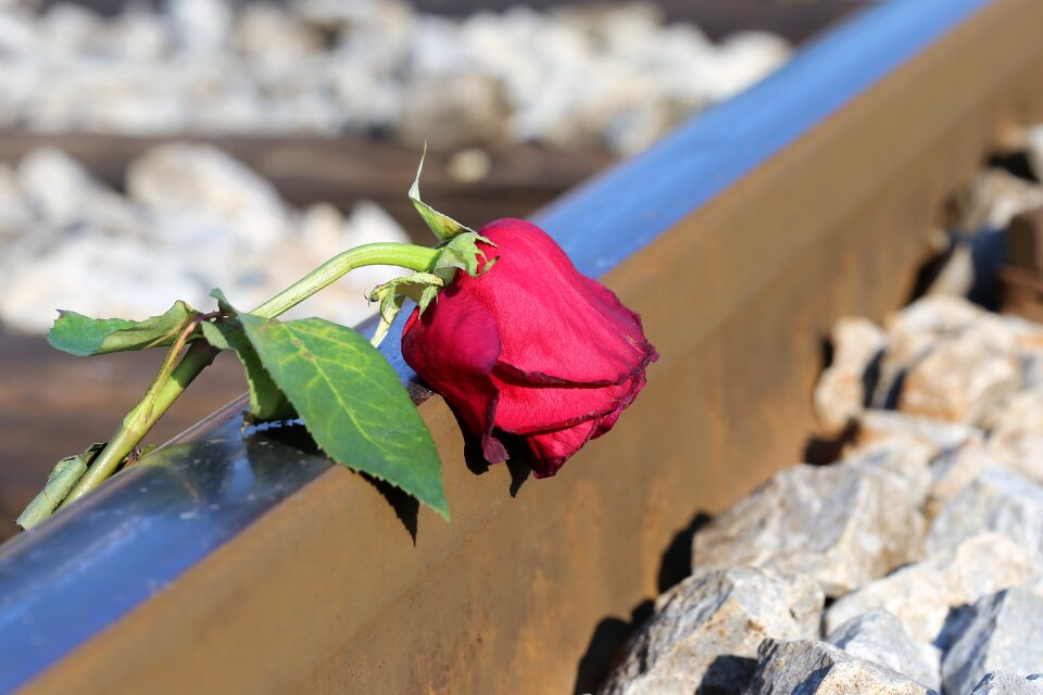 Touching loving memory tragedy