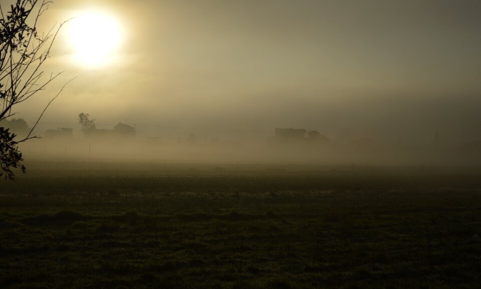 Autumn tomorrow fog