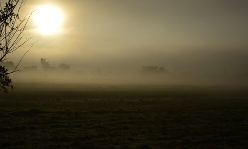Autumn tomorrow fog