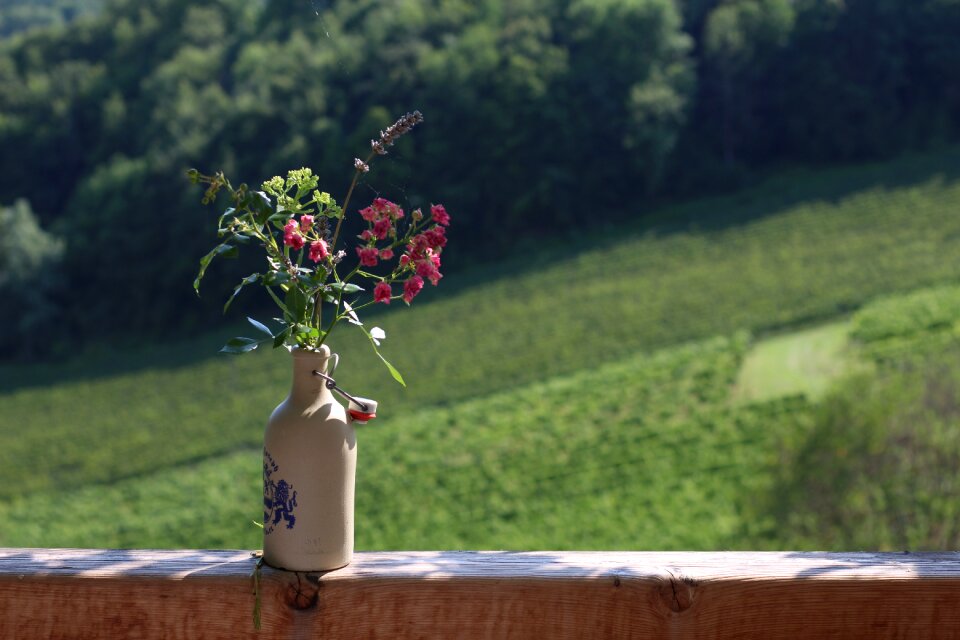 Terrace hill land weinstrasse