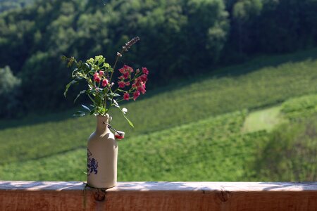 Terrace hill land weinstrasse