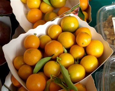 Kumquats au marché photo