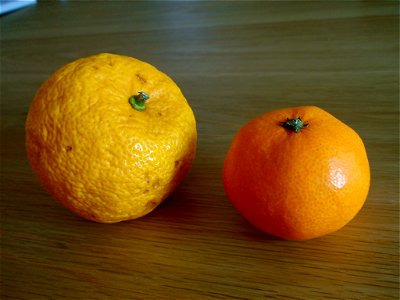 Yuzu and mandarine