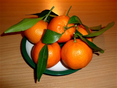 Mandarin orange fruit Citrus reticulata photo