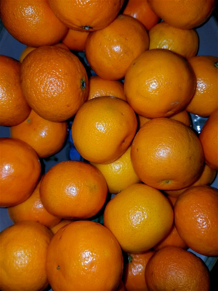 Clementine mandarins - Massachusetts, USA.