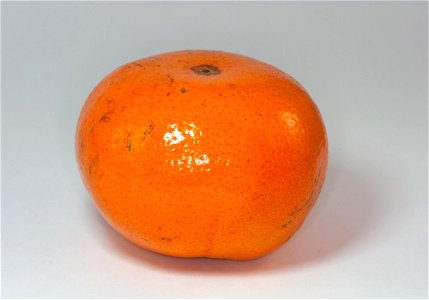 a Honey Tangerine photo