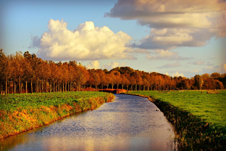 Polder dutch landscape netherlands photo