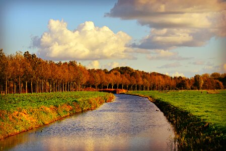 Polder dutch landscape netherlands photo