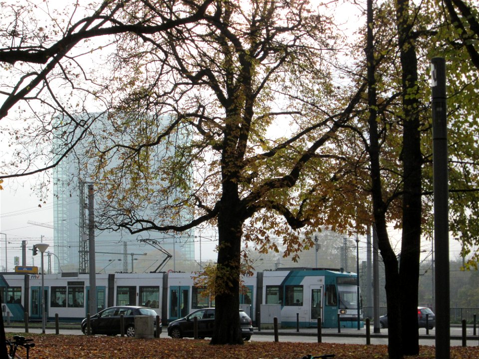 Rosskastanie (Aesculus hippocastanum) am Schloss Mannheim - im Hintergrund das Viktoriahaus