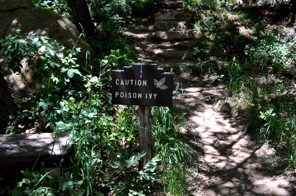 "Caution Poison Ivy", a sign in Mesa Verde National Park, along the descent to "Spruce Tree House".