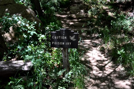 "Caution Poison Ivy", a sign in Mesa Verde National Park, along the descent to "Spruce Tree House". photo