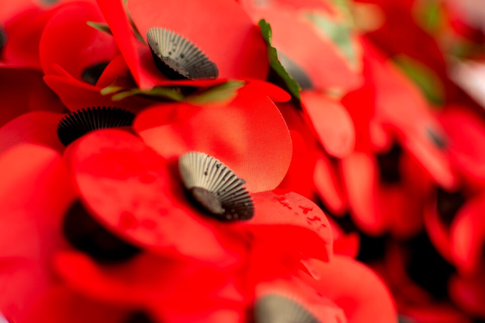 Remembrance war conflict