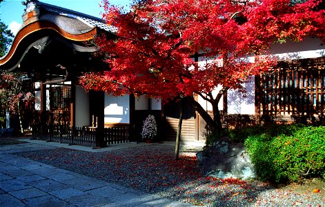 KiyomizuderaGateKarahafu