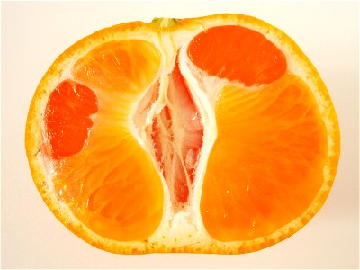 This Citrus unshiu comes from Japan.