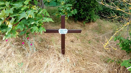 Summit cross at the Geitelder Berg, Braunschweig, Germany.
The cross is less than 1 meter in height, made from wood, and carries a hand-written sign made from laminated paper. The inscription is:

Gei
