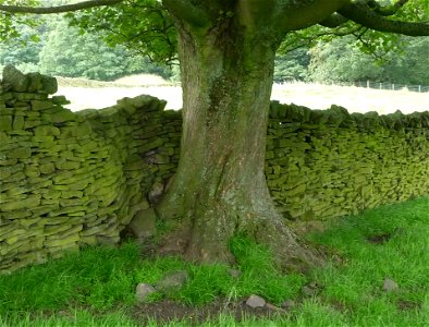 Carleton in Craven (North Yorkshire), United Kingdom
