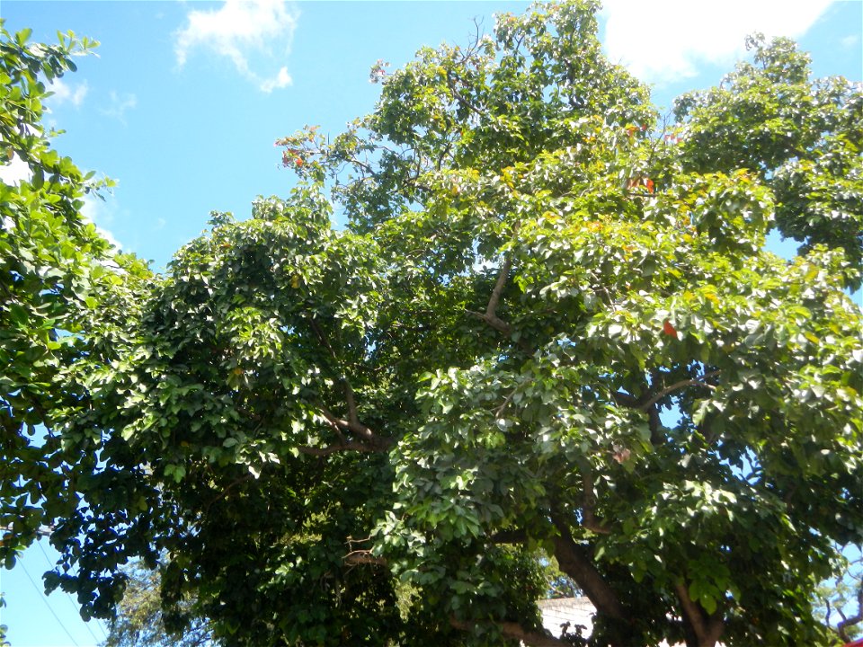 Bustos, Bulacan during Pandemic photo