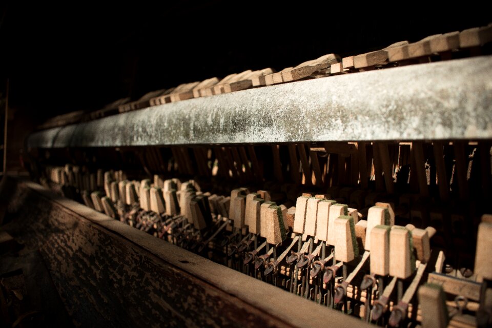 Wooden music instrument